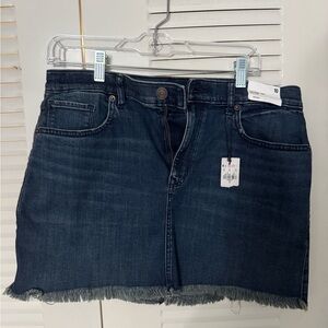 Express Dark Blue Denim Mini Skirt